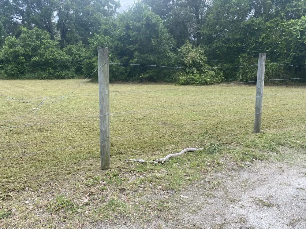 Custom yard cleanup service for residential properties across Tavares, FL - Lovefamily Lawncare and Landscape