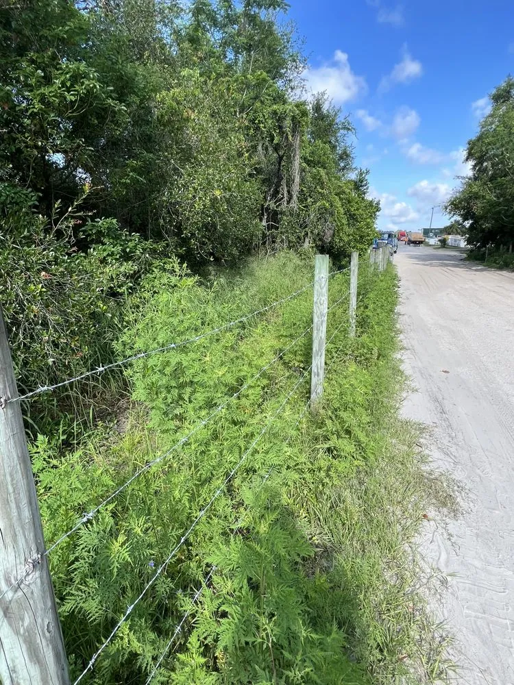 Custom outdoor landscaping in Tavares, FL by Lovefamily Lawncare and Landscape