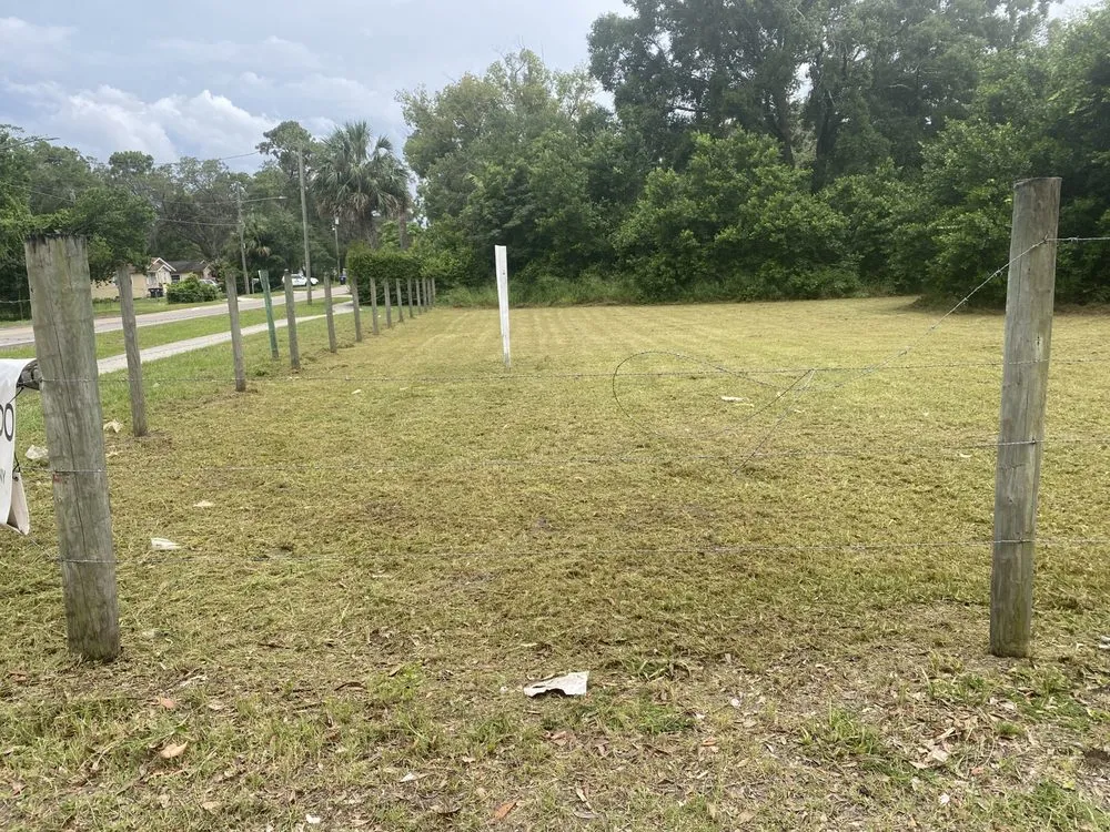 Professional outdoor landscaping in Tavares, FL - Lovefamily Lawncare and Landscape