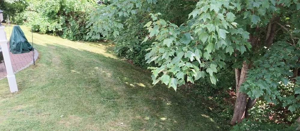 Custom yard cleanup service for year-round maintenance across Lebanon, ME - Lovejoy's Lawn Care