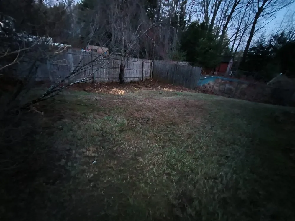 Custom yard maintenance experts serving Lebanon, ME - Lovejoy's Lawn Care