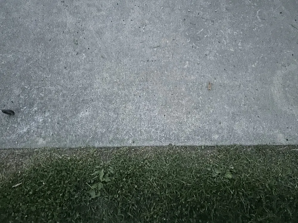 Custom yard cleanup service experts serving Murrayville, IL - Lovekamp Lawn Services