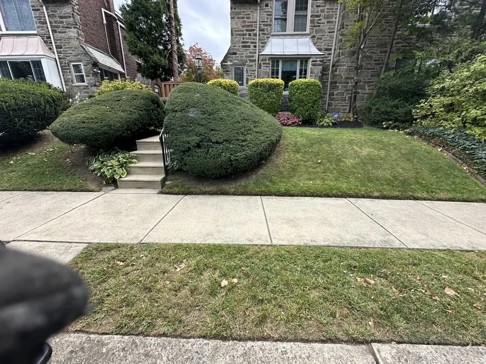 Professional yard cleanup service in Philadelphia, PA by Lovelace Landscaping