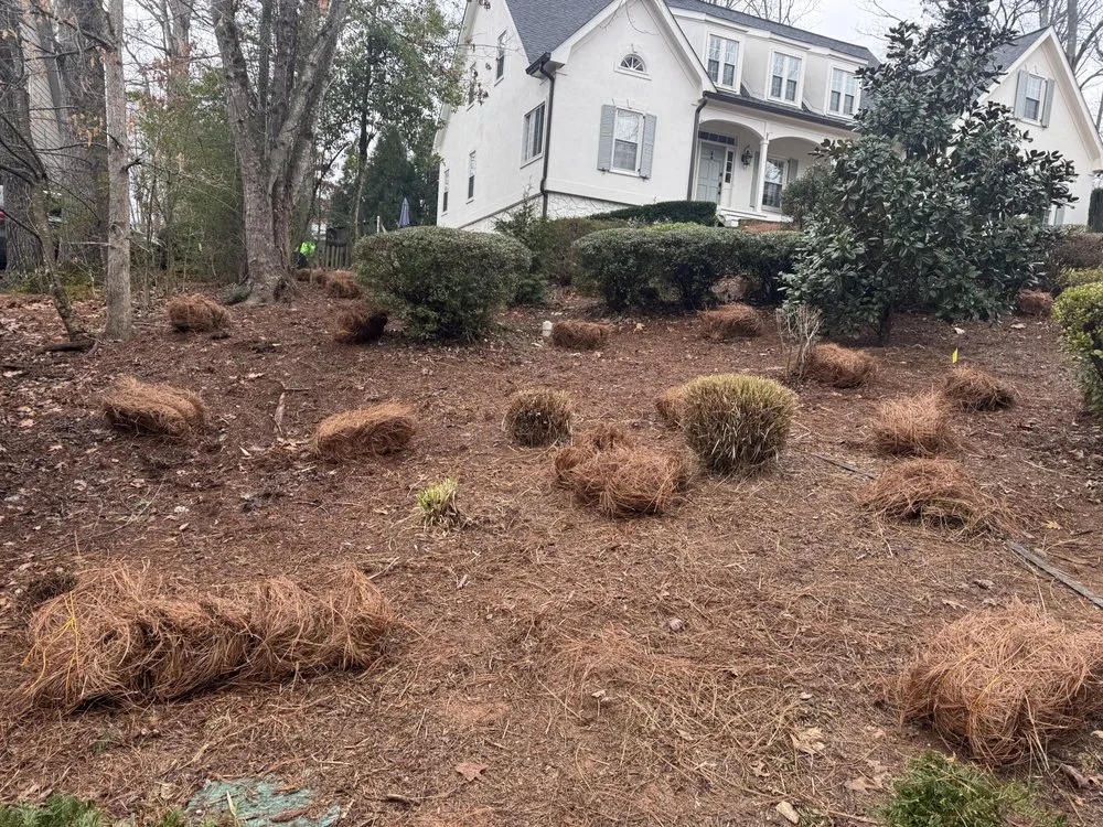 Custom lawn care service for beautiful yards in Woodstock, GA by Lovelace Lawn Care and Landscaping