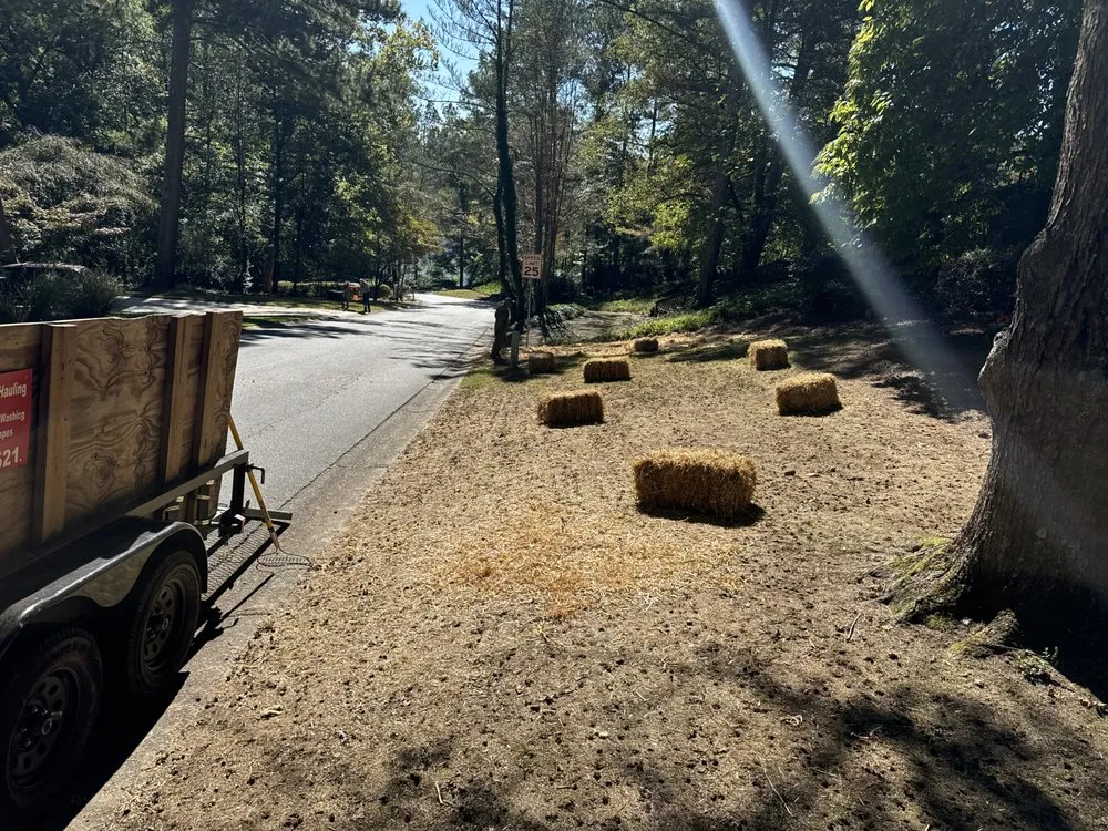 Professional yard cleanup service in Woodstock, GA by Lovelace Lawn Care and Landscaping