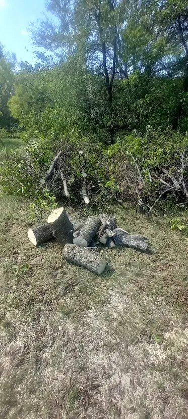 Top-rated yard maintenance with custom design across Lindale, TX - Lovelace Lawn Firm