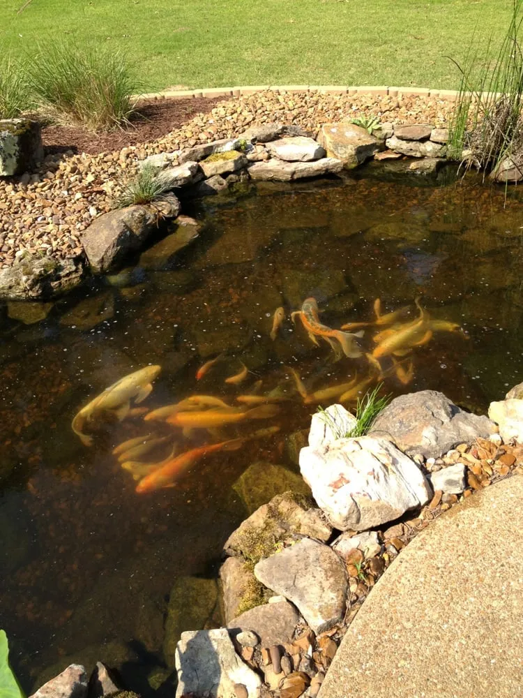 Custom yard maintenance in Humboldt, TN - Lovelace Lawncare