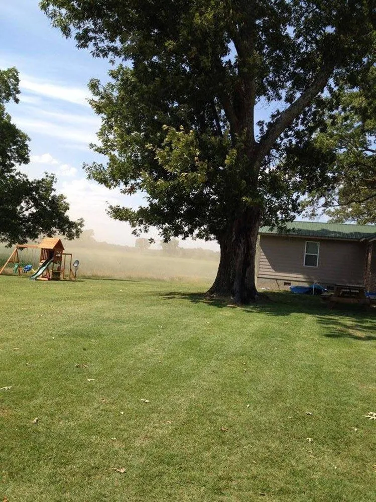 Trusted yard cleanup service for year-round maintenance in Humboldt, TN by Lovelace Lawncare