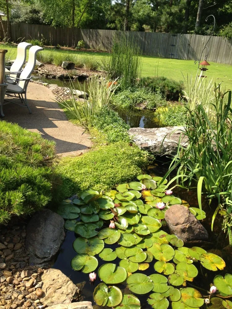 Local yard maintenance for year-round maintenance across Humboldt, TN - Lovelace Lawncare