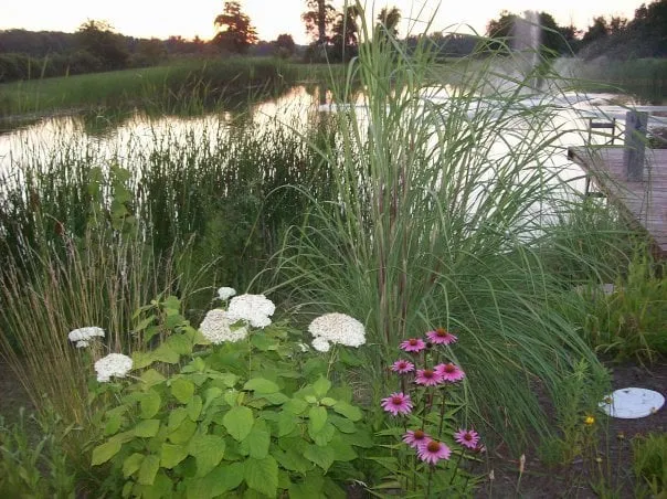 Expert landscape design experts serving Xenia, OH - Lovelace Services