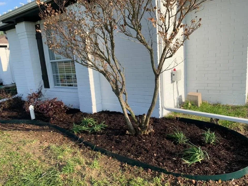 Professional yard cleanup service in Palestine, TX - LoveLand Greenscapes