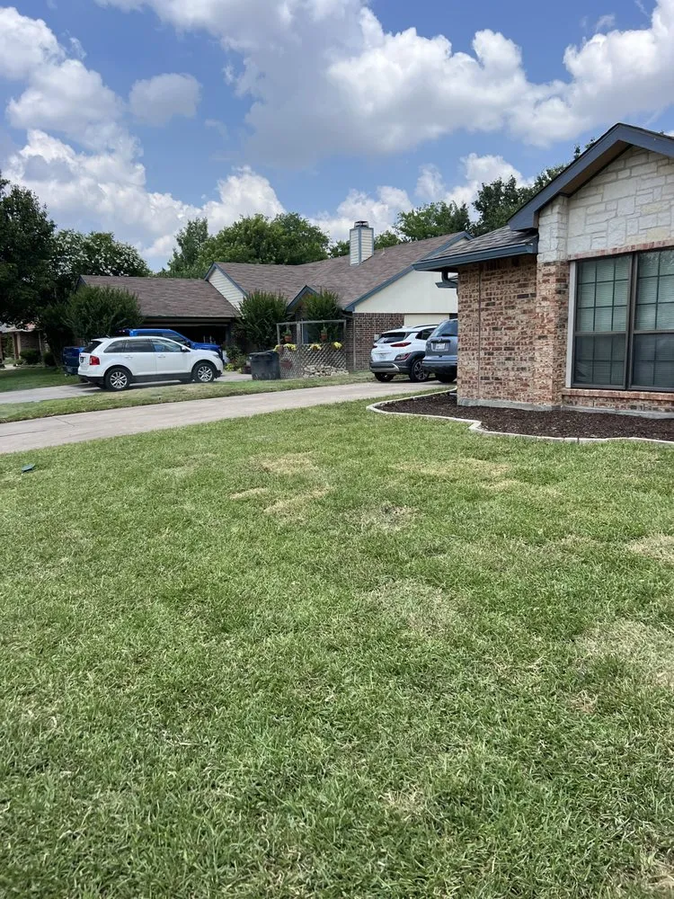 Professional yard cleanup service experts serving Palestine, TX - LoveLand Greenscapes