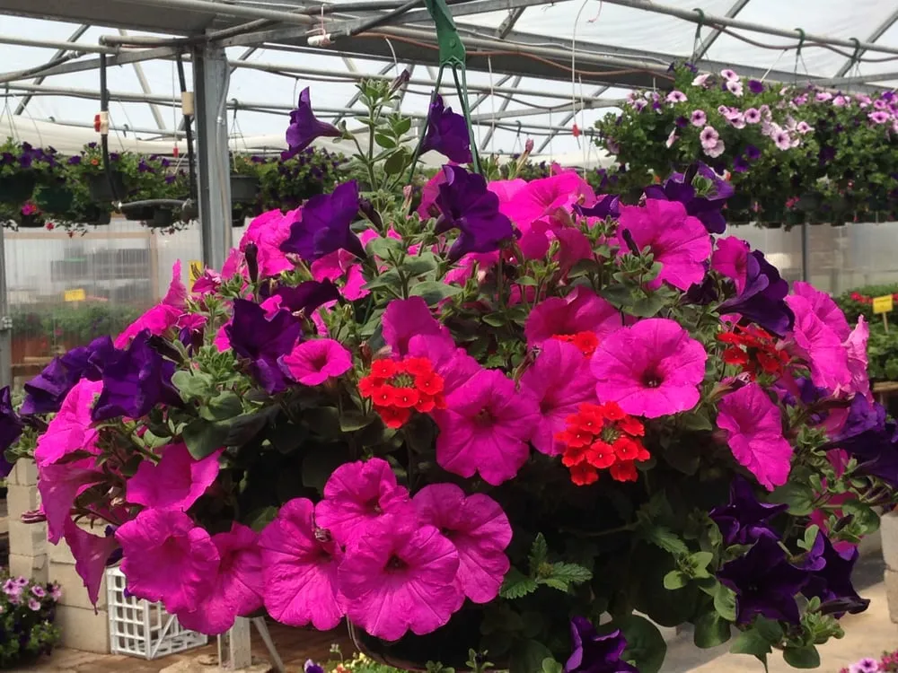 Local landscape installation in West Bountiful, UT - Loveland Landscape