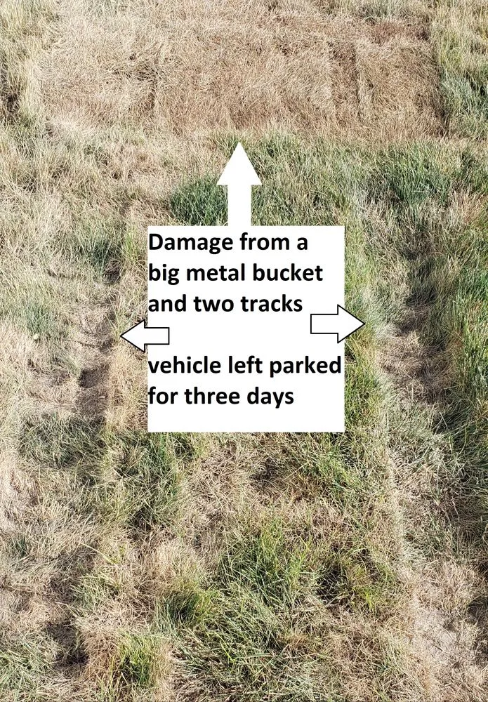 Expert lawn mowing service in West Bountiful, UT by Loveland Landscape