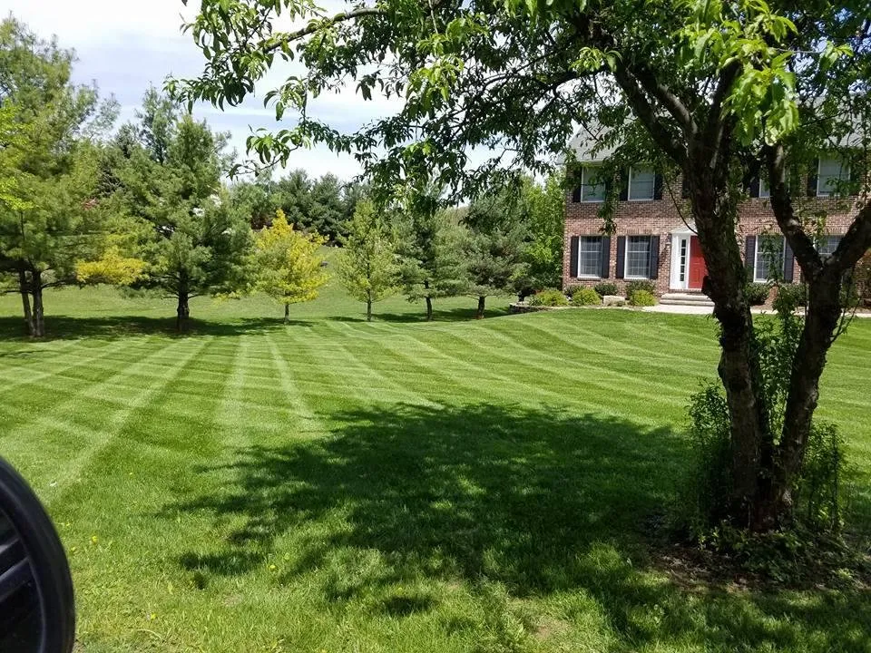 Expert yard maintenance in Ijamsville, MD - Loveless Landscaping