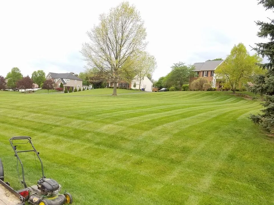 Professional landscape installation in Ijamsville, MD by Loveless Landscaping