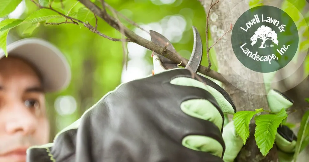 Professional residential landscaping experts serving Stephenville, TX - Lovell Lawn & Landscape