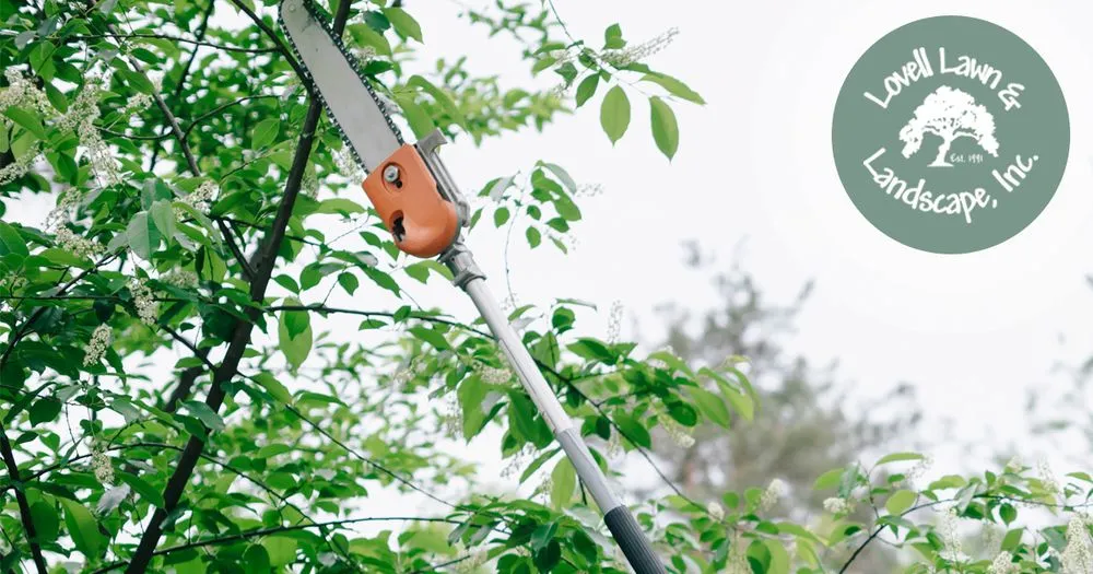 Custom lawn care service for year-round maintenance in Stephenville, TX by Lovell Lawn & Landscape