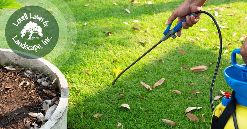Custom lawn care service experts serving Stephenville, TX - Lovell Lawn & Landscape