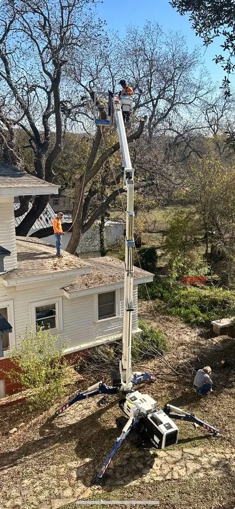 Top-rated landscape design for beautiful yards across Stephenville, TX - Lovell Lawn & Landscape