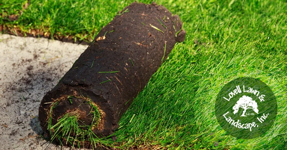 Custom landscaping services for outdoor upgrades in Stephenville, TX by Lovell Lawn & Landscape