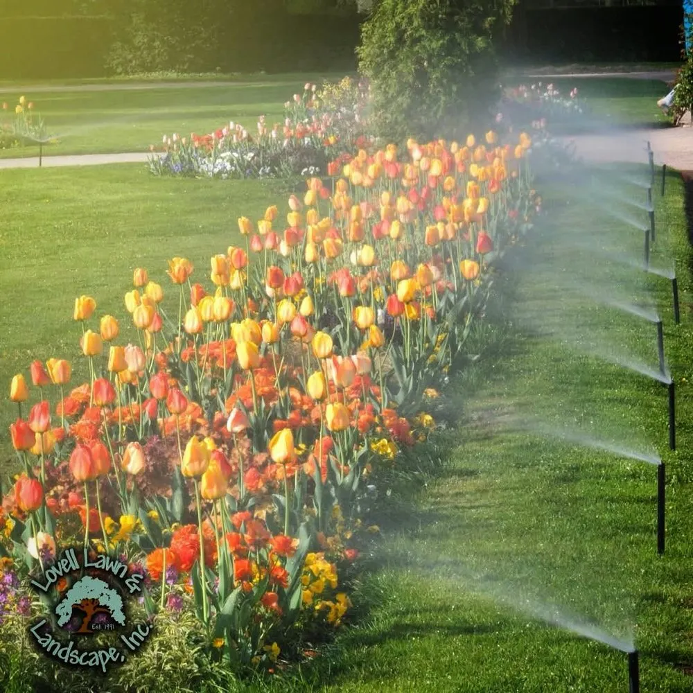 Local landscape installation in Stephenville, TX - Lovell Lawn & Landscape