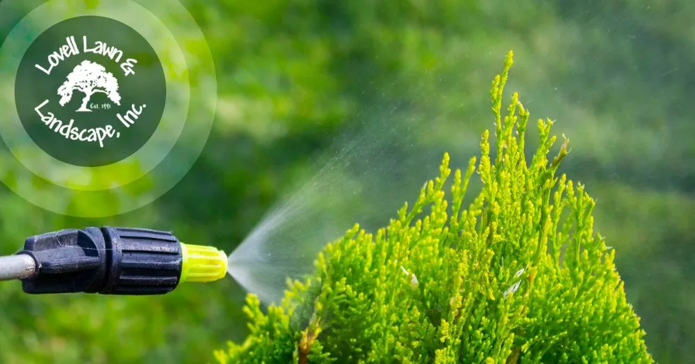 Top-rated lawn mowing service in Stephenville, TX by Lovell Lawn & Landscape