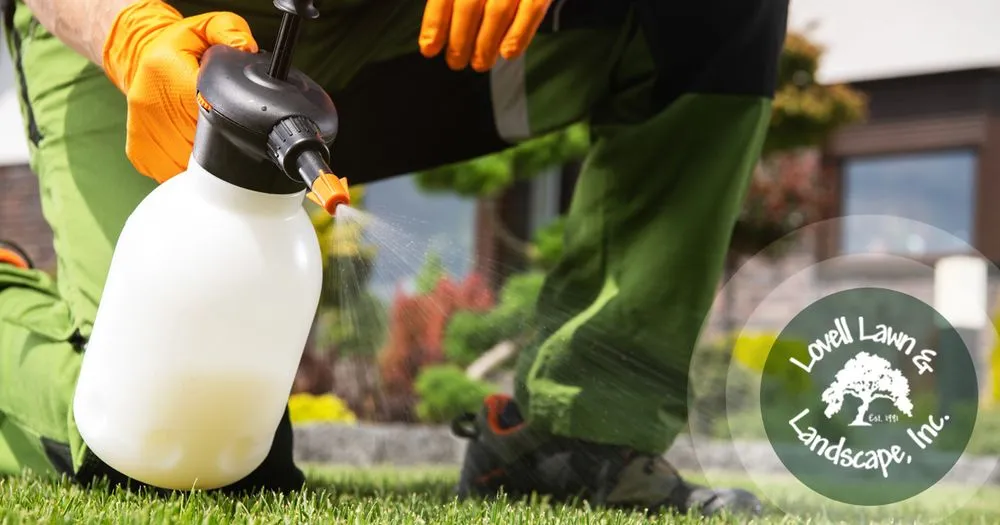 Reliable garden landscaping experts serving Stephenville, TX - Lovell Lawn & Landscape