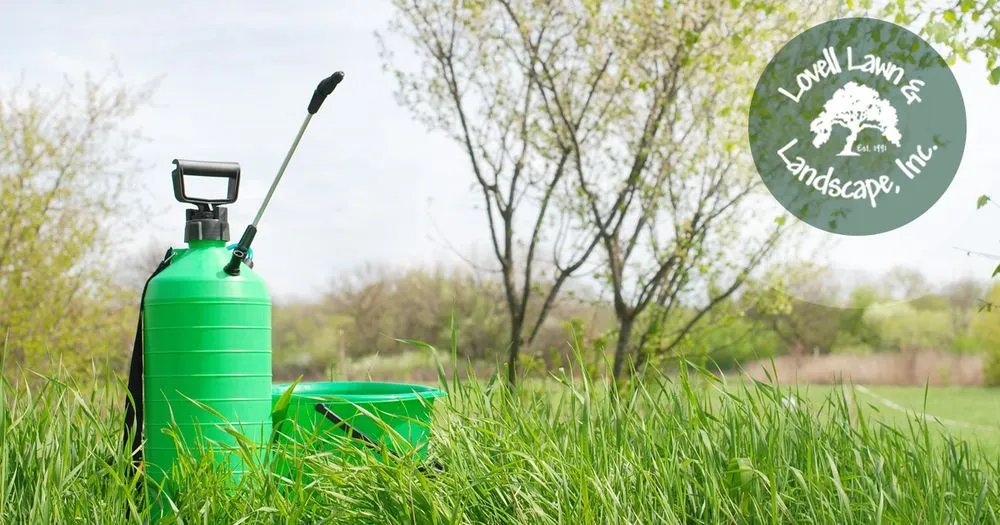 Professional lawn care service in Stephenville, TX by Lovell Lawn & Landscape