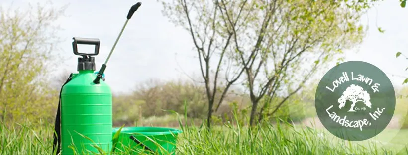 Top-rated yard cleanup service for residential properties across Stephenville, TX - Lovell Lawn & Landscape