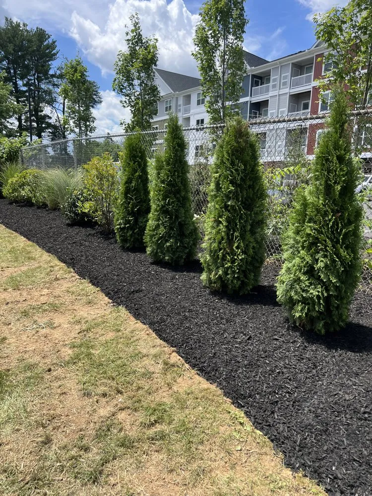 Trusted landscaping services for outdoor upgrades across Bethlehem, PA - Lovells Lawn & Landscaping