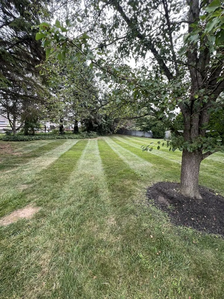 Affordable yard cleanup service for year-round maintenance across Bethlehem, PA - Lovells Lawn & Landscaping