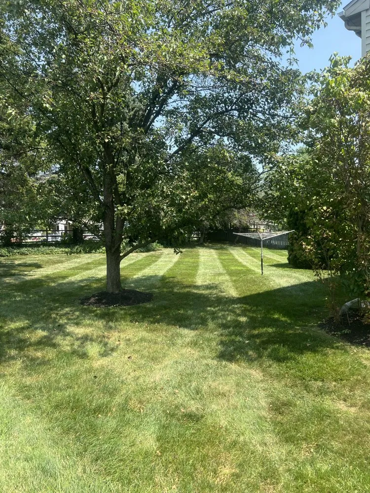 Expert landscape design with custom design across Bethlehem, PA - Lovells Lawn & Landscaping