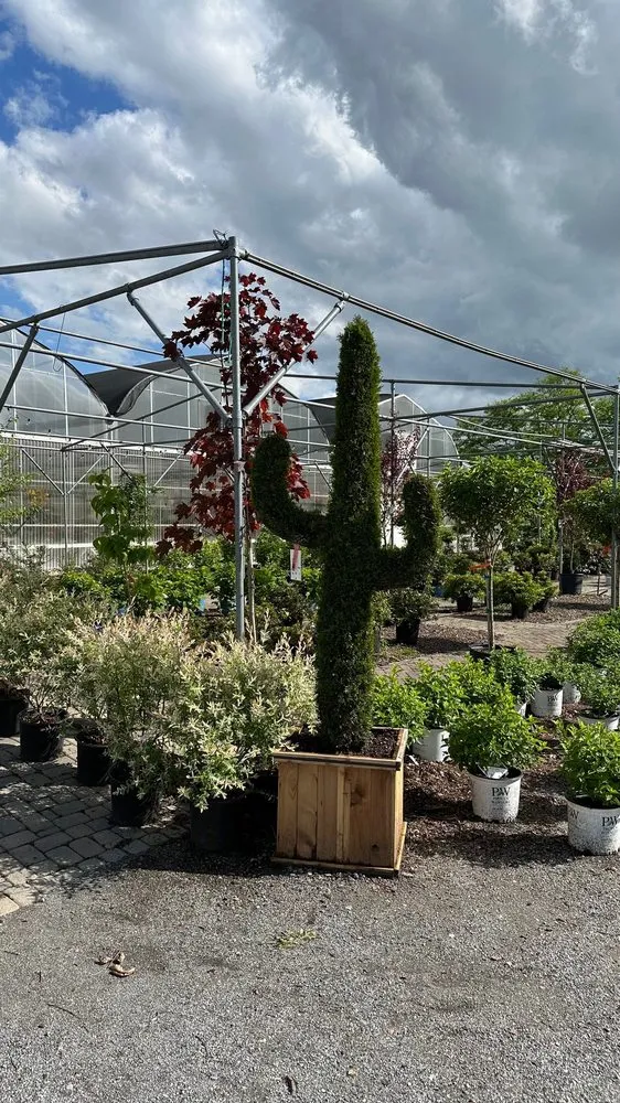 Expert lawn mowing service experts serving Hagerstown, MD - Lovell's Nursery