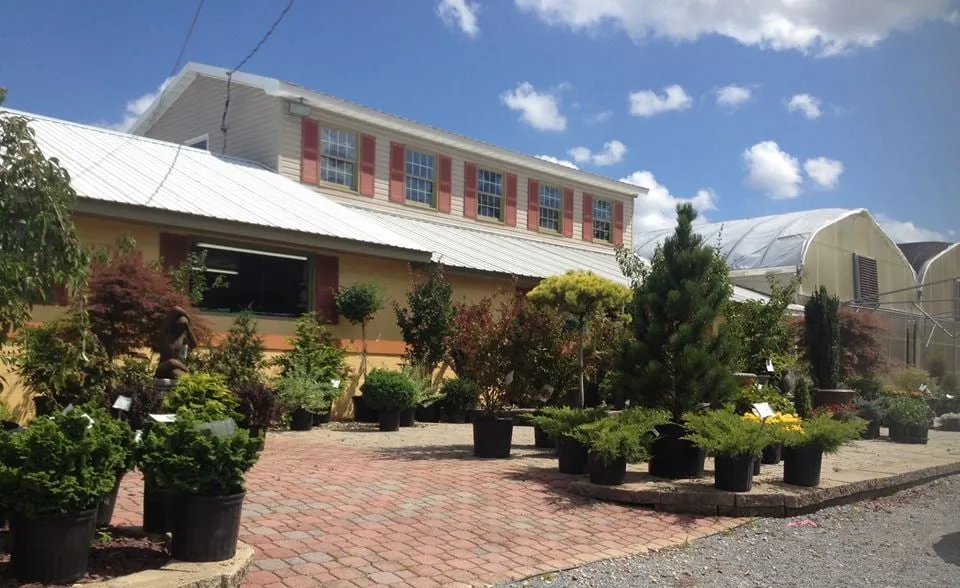 Expert outdoor landscaping in Hagerstown, MD by Lovell's Nursery