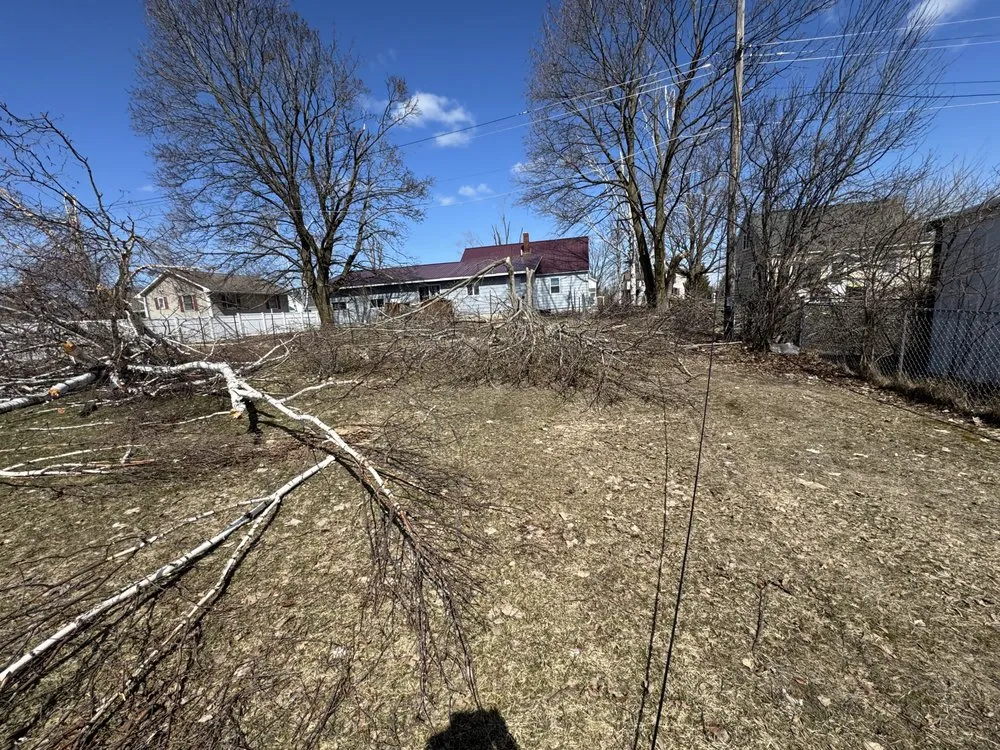 Professional yard cleanup service for beautiful yards across Cheboygan, MI - Lovelly Services