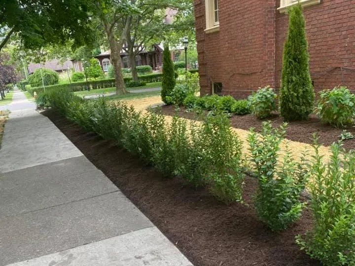 Affordable lawn mowing service for year-round maintenance in Auburn Hills, MI by Lovely Landscape