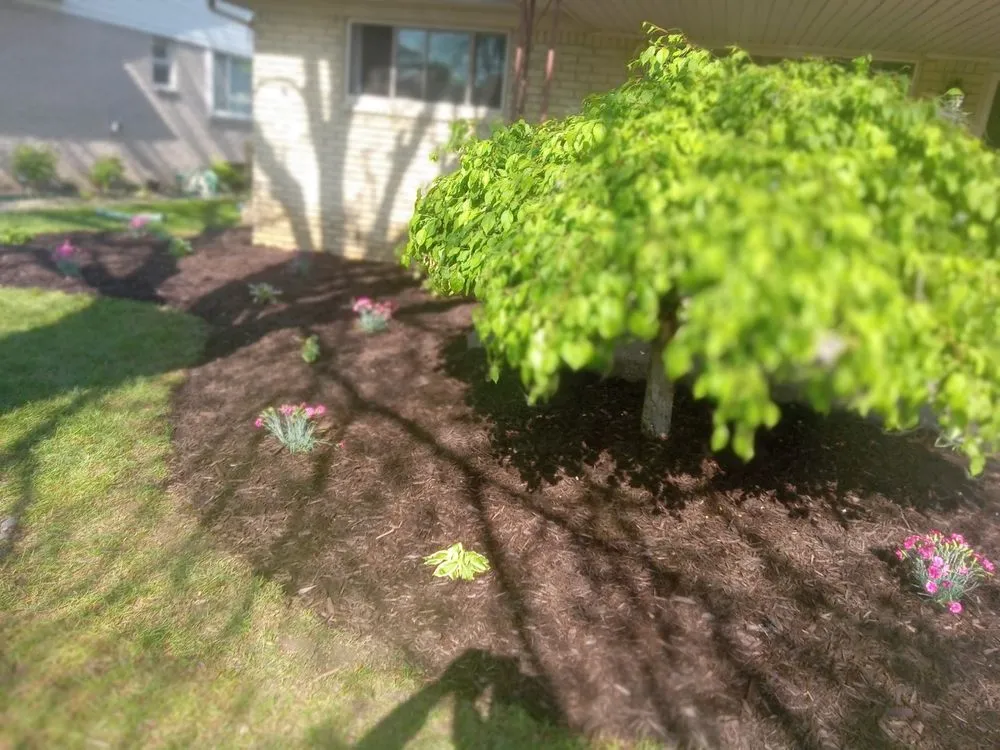 Reliable landscaping services in Auburn Hills, MI by Lovely Landscape