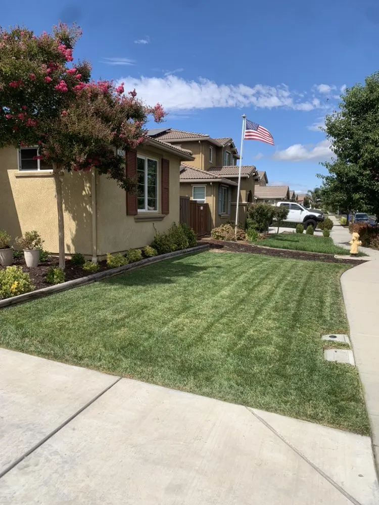 Custom outdoor landscaping for year-round maintenance across Brentwood, CA - Lovely Landscape