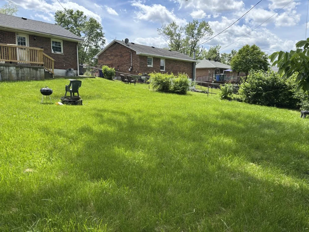 Top-rated landscape design in Lexington, KY - Lovely Lawn Care