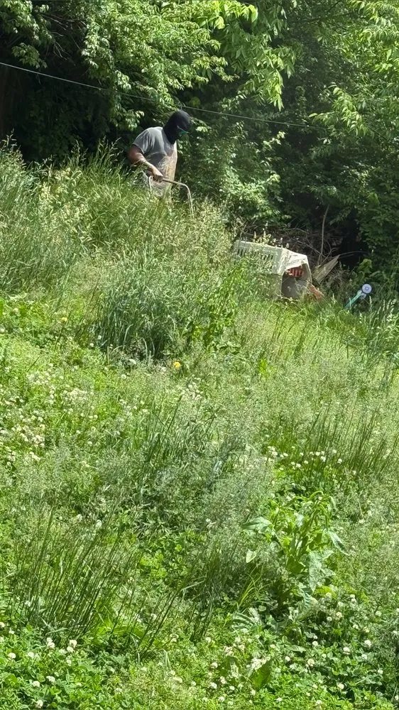 Professional residential landscaping in Lexington, KY by Lovely Lawn Care