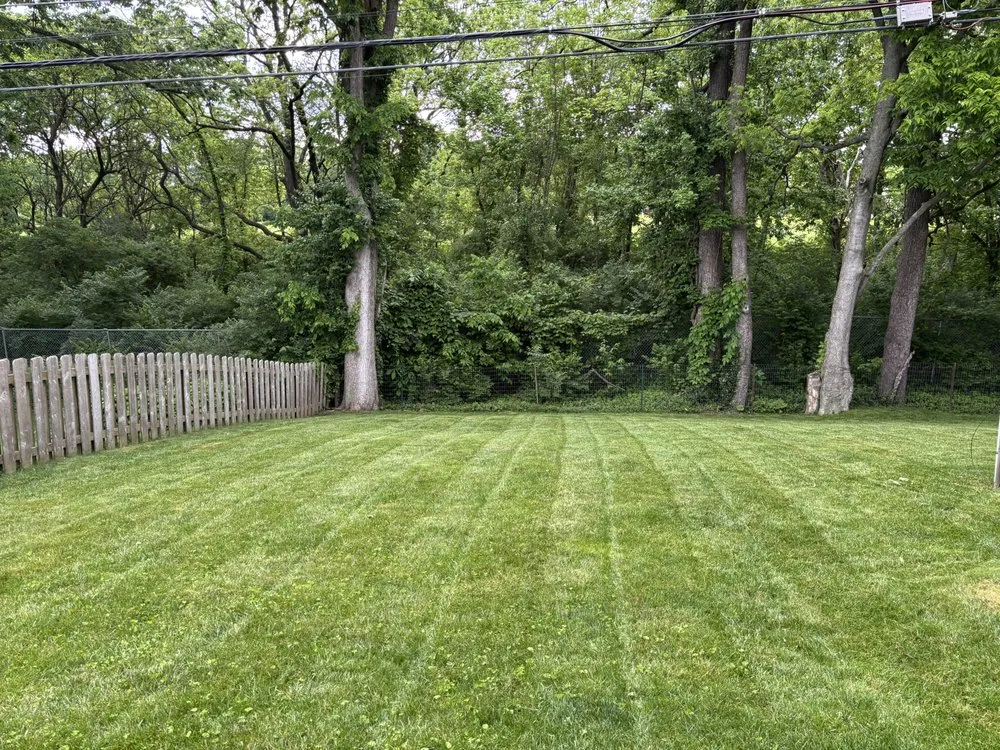 Professional outdoor landscaping in Lexington, KY - Lovely Lawn Care