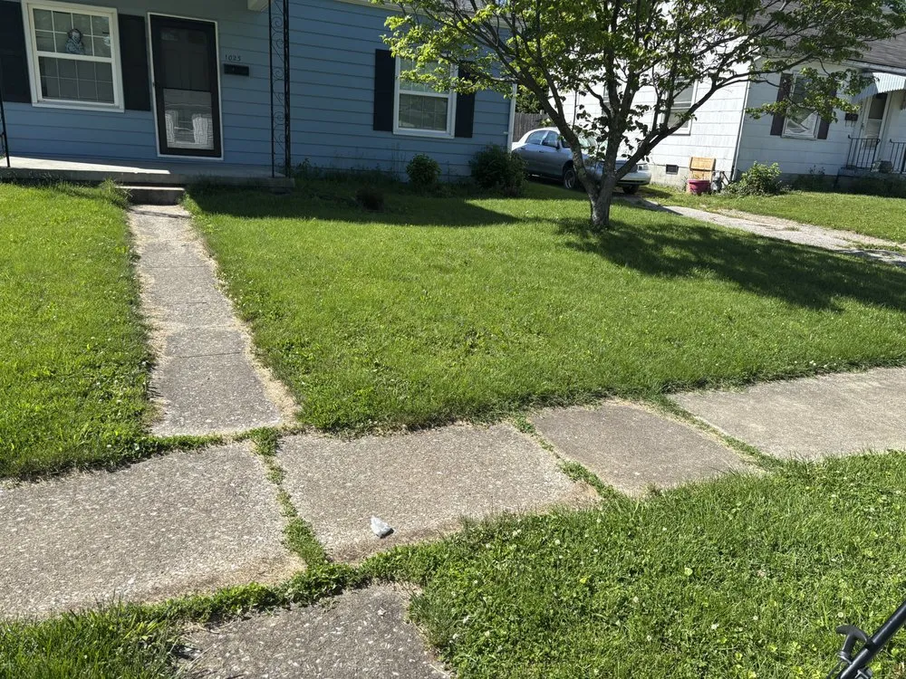 Custom yard cleanup service in Lexington, KY by Lovely Lawn Care