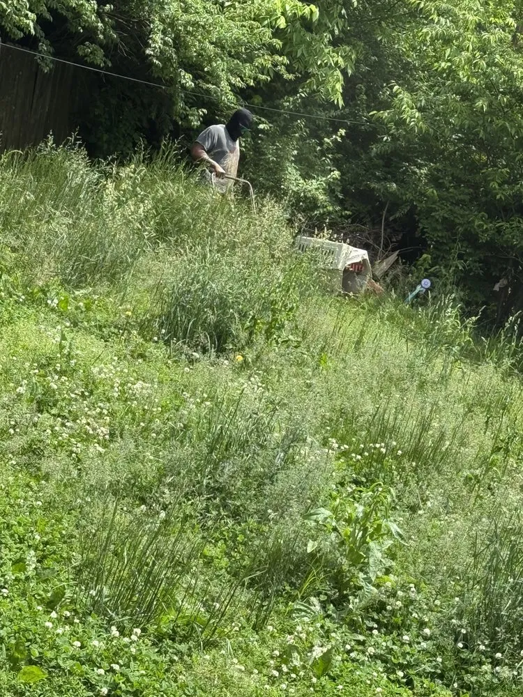 Expert landscape installation in Lexington, KY - Lovely Lawn Care