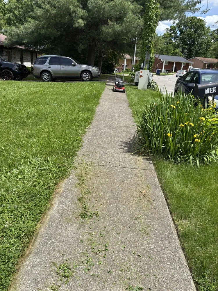 Local landscape design in Lexington, KY - Lovely Lawn Care