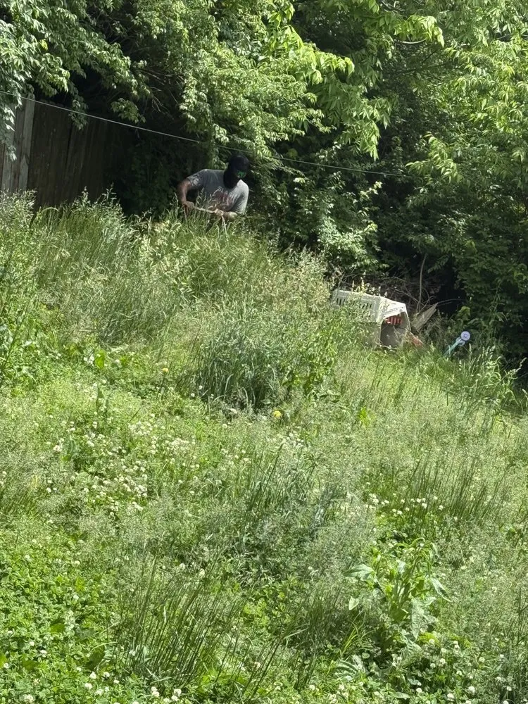 Affordable landscape design experts serving Lexington, KY - Lovely Lawn Care