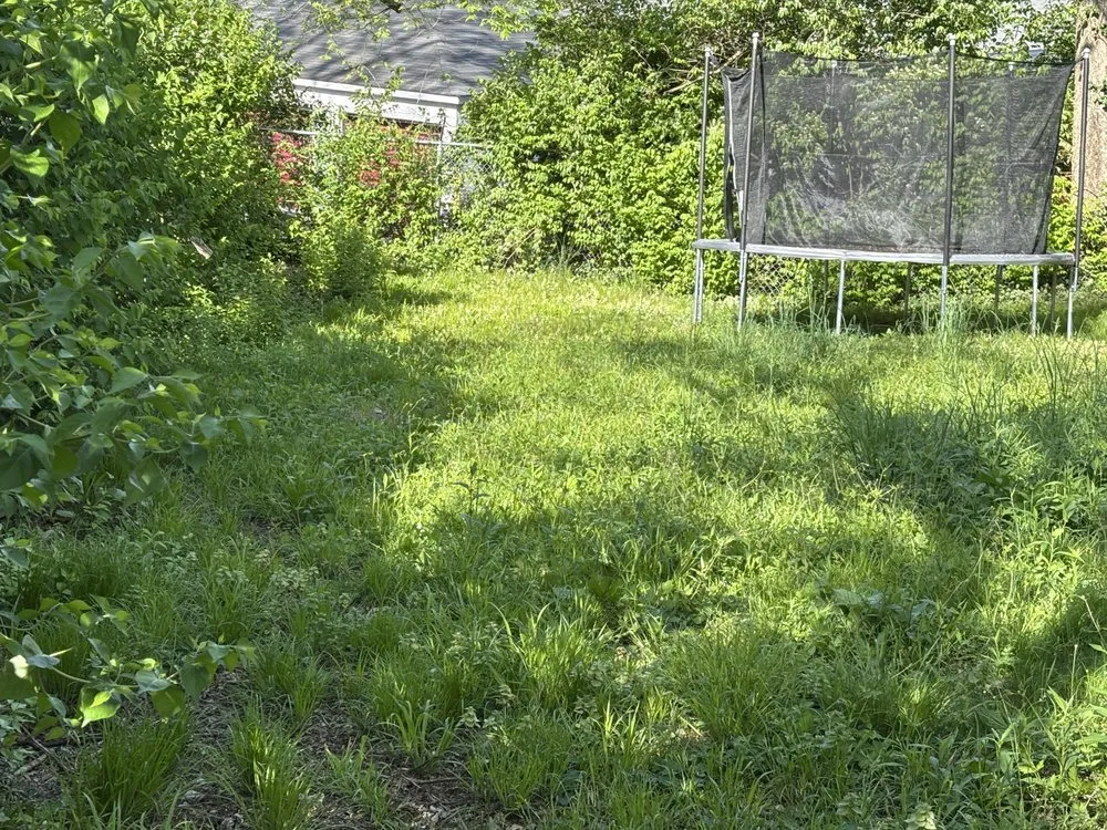 Affordable lawn mowing service in Lexington, KY by Lovely Lawn Care