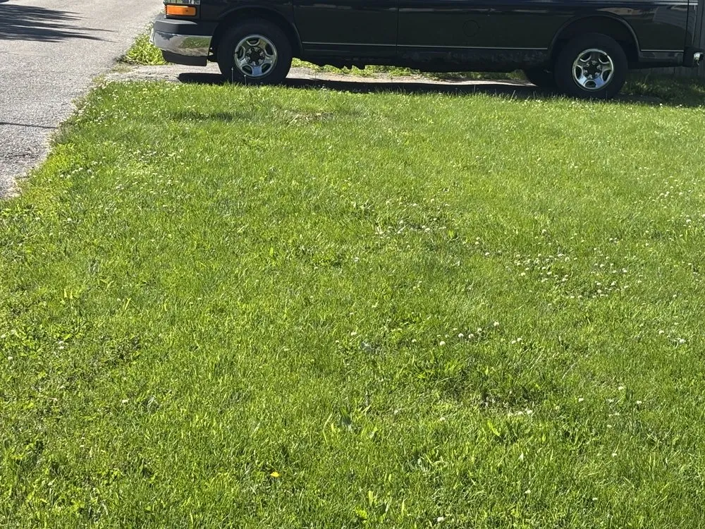 Reliable landscaping services in Lexington, KY - Lovely Lawn Care