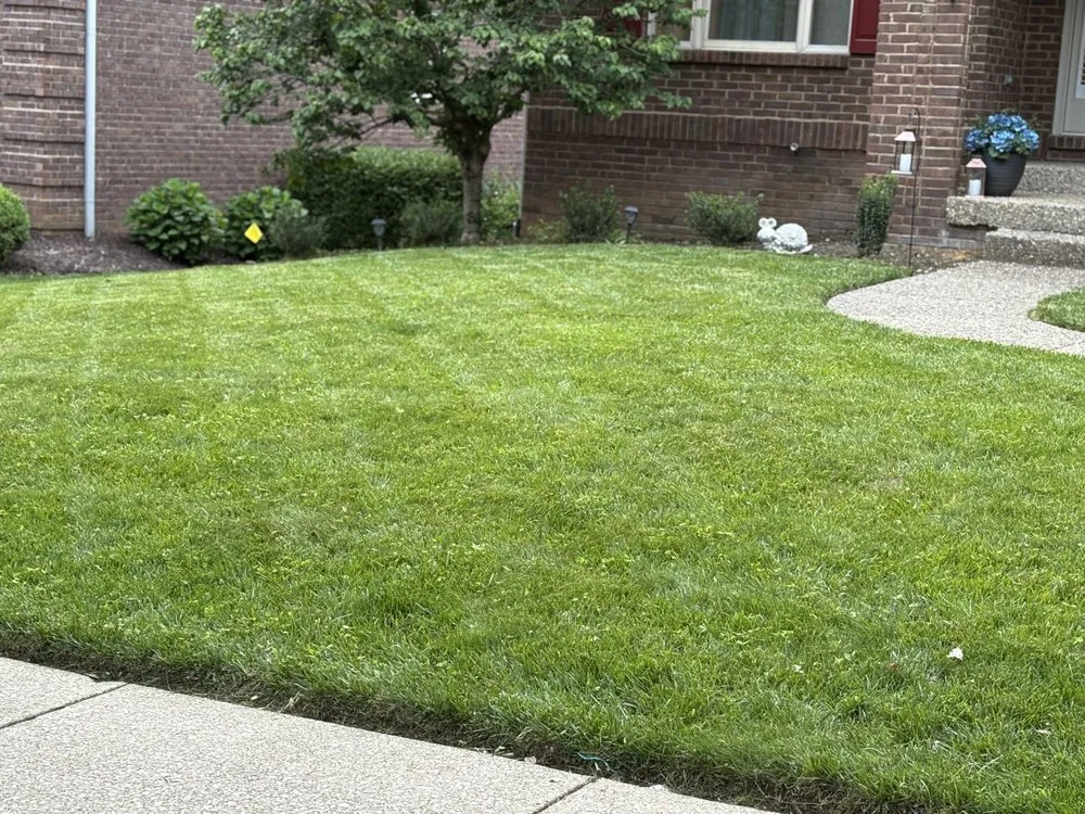 Reliable lawn care service in Lexington, KY - Lovely Lawn Care
