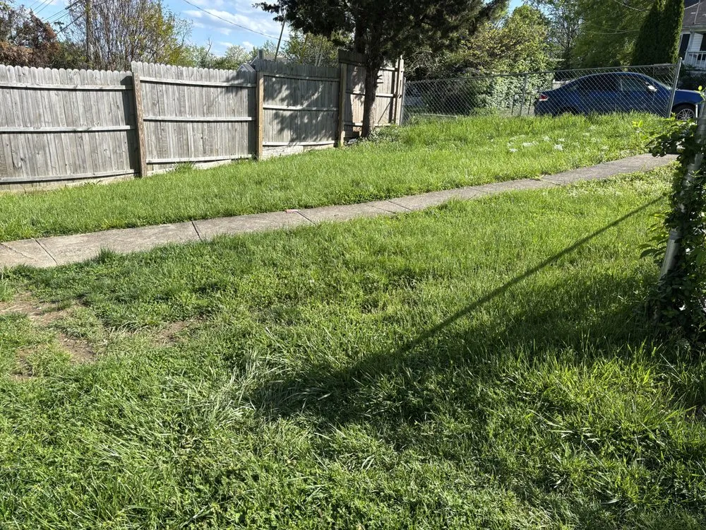 Affordable residential landscaping in Lexington, KY by Lovely Lawn Care